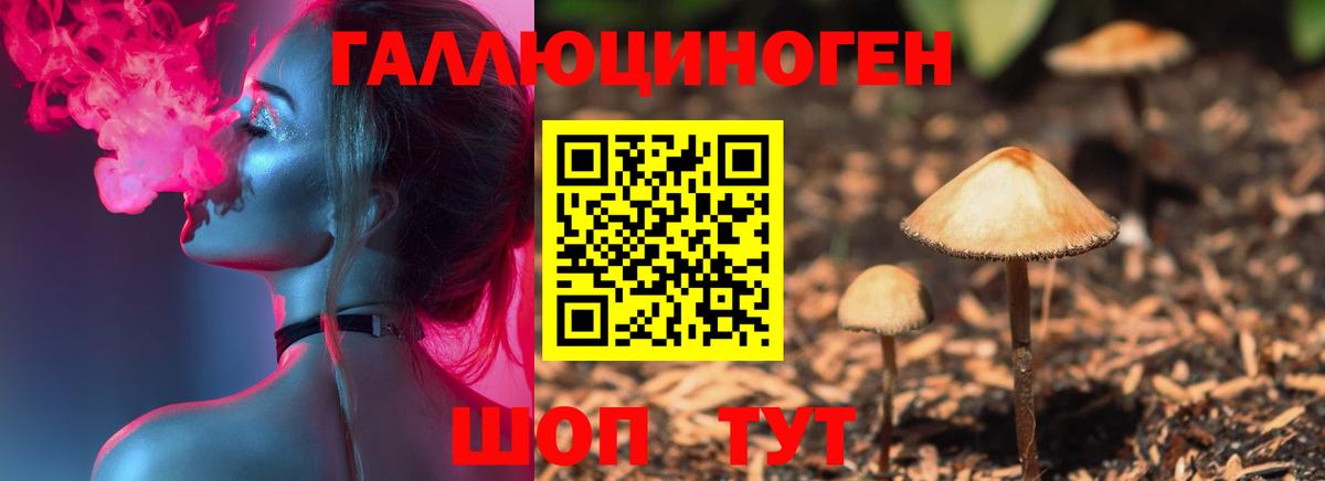 Серпухов  Галлюциногенные грибы Cubensis  Вход с VPN  Галлюциногенные грибы прущие грибы 